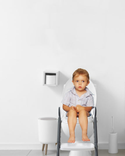 Babyjem Step Stool Toilet Training - 861