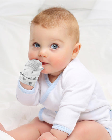 Babyjem Baby Teethering Gloves /Hedgehog - 612