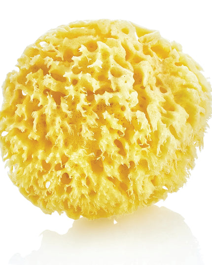 Babyjem Natural Sea Sponge - 163
