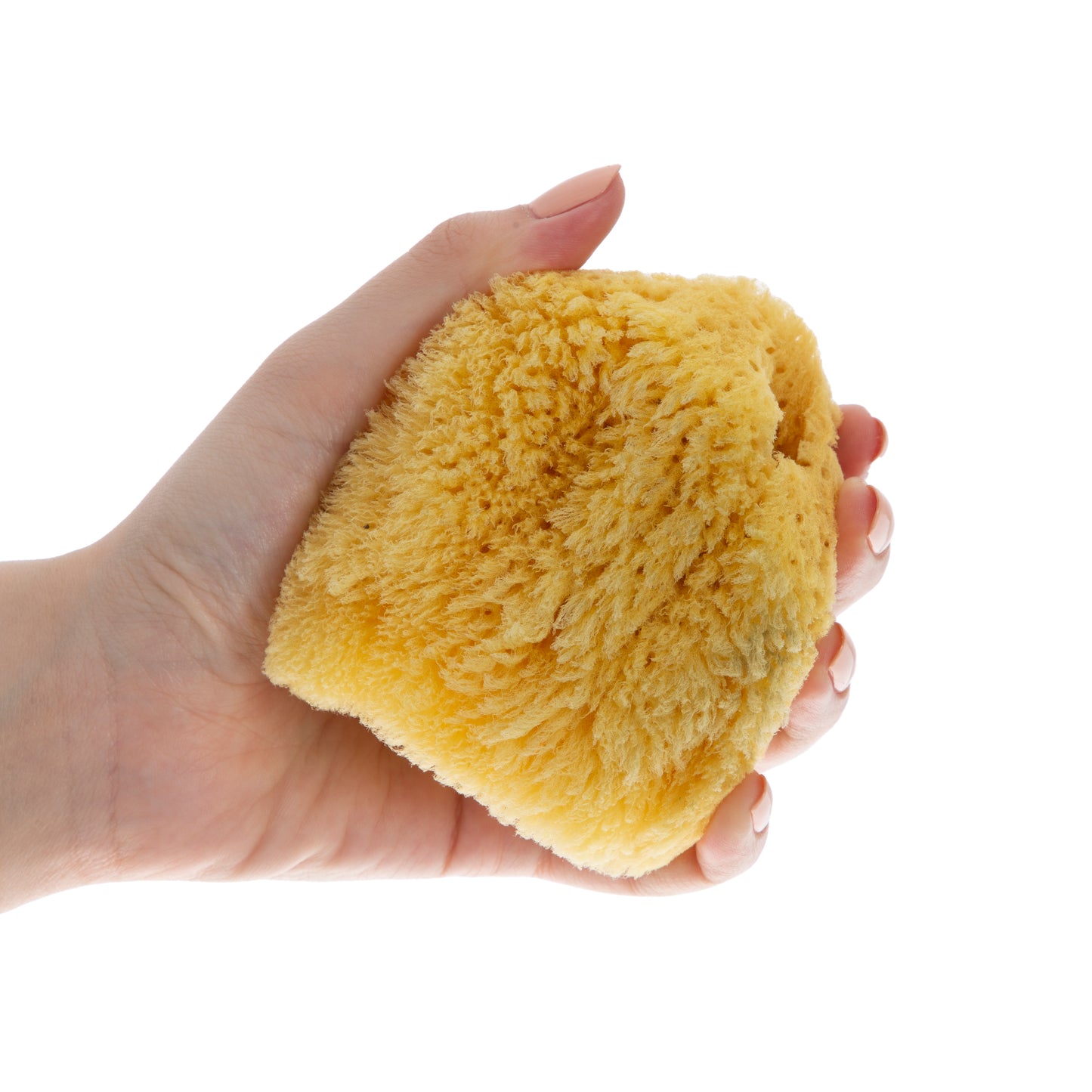 Babyjem natural sea sponge / naturel