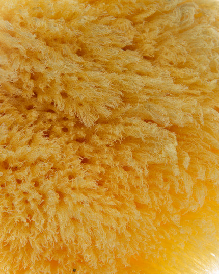 Babyjem Natural Sea Sponge - 163