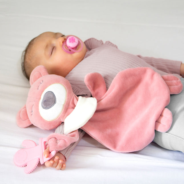 Babyjem My Sweet Bear Toy With Teether - 680