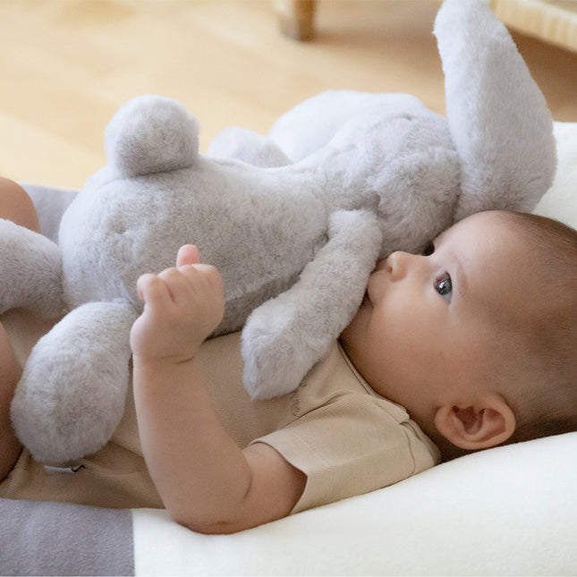 Babyjem Baby Sleepıng  Rabbıt - 730