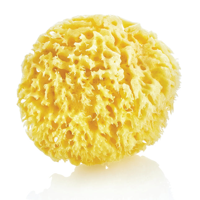 Babyjem Natural Sea Sponge - 163