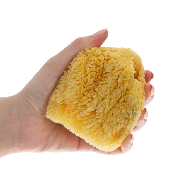 Babyjem Natural Sea Sponge - 163