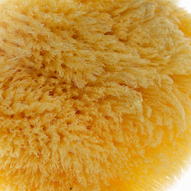 Babyjem Natural Sea Sponge - 163